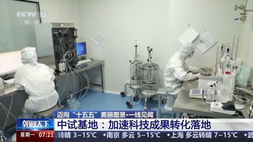 一線見(jiàn)聞丨順藤摸瓜 深圳科創(chuàng)青藤體系，如何賦能硬科技轉(zhuǎn)化？